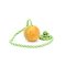 2 Inch Dog Balls on Rope Hollow Rubber Dog Ball Launcher