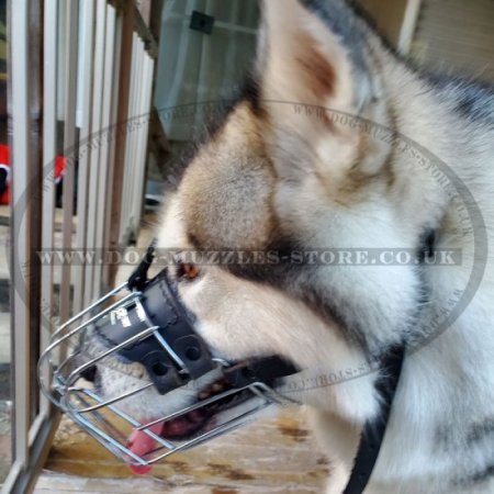 Akita and Husky Dog Wire Basket Muzzle | Husky Muzzles for Sale