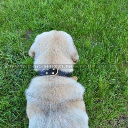 Soft Leather Dog Collar | Luxury Dog Collar