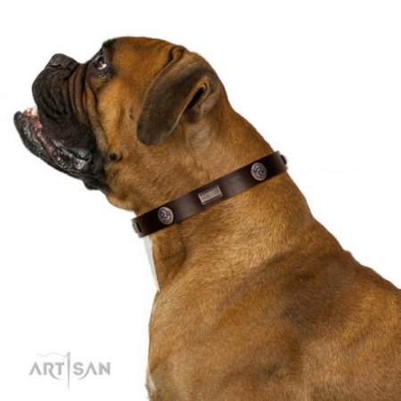 Functional Brown Studded Buckle Dog Collar FDT Artisan