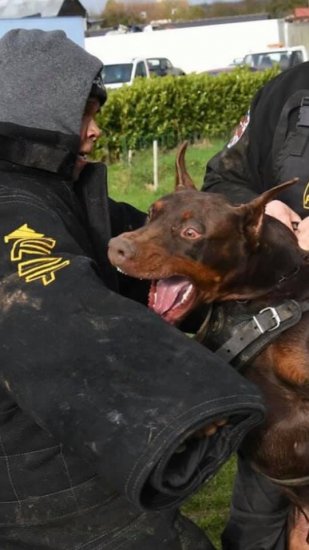 "Endurable Safety" Police Dog Training Bite Suit Improved Design