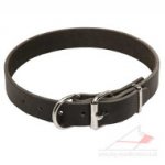 Super Quality Classic Dog Leather Collar 1.2 In Wide