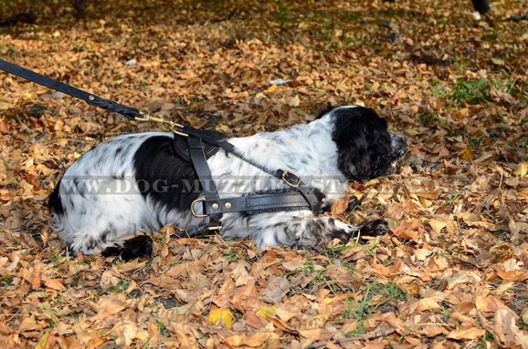 Spaniel Dog Body Harness with Chest Strap Real Leather Padded