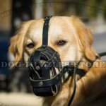 Light, Soft and Super Ventilated Dog Muzzle for Golden Retriever