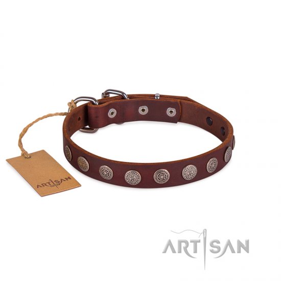 Handcrafted Brown Studded Buckle Dog Collar FDT Artisan