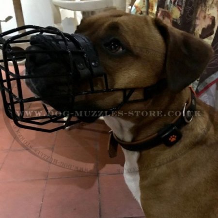 Dog Muzzle for Staffordshire Bull Terrier & Amstaff Muzzle Size
