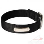 ID Dog Collar | Personalized Dog Collar Made of Nylon