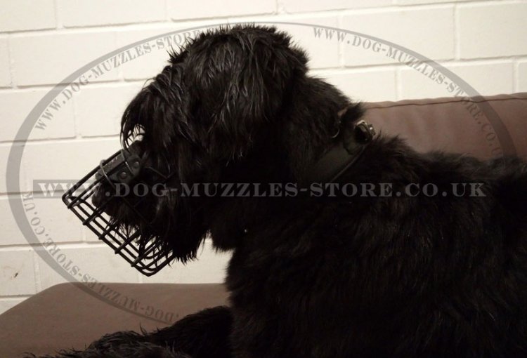 Safe Coated Wire Basket Dog Muzzle for Giant Schnauzer