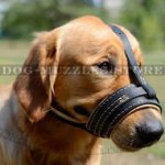 Soft Dog Muzzle Nappa Padded | Golden Retriever Muzzle UK