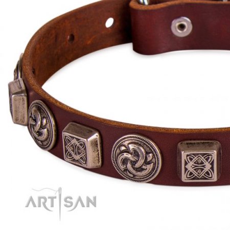 Luxury Brown Leather Dog Collar With Metal Buckle FDT Artisan