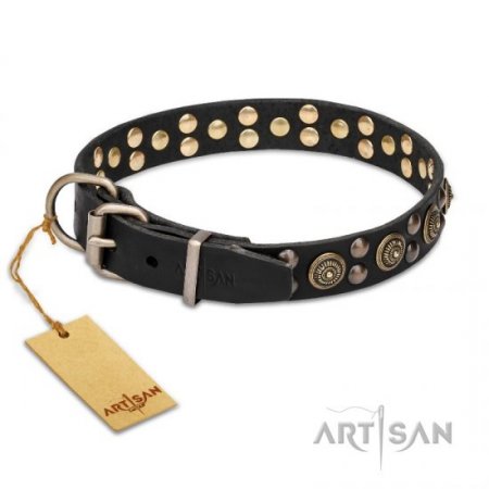 Impressive Soft Black Leather Dog Collar With Studs FDT Artisan