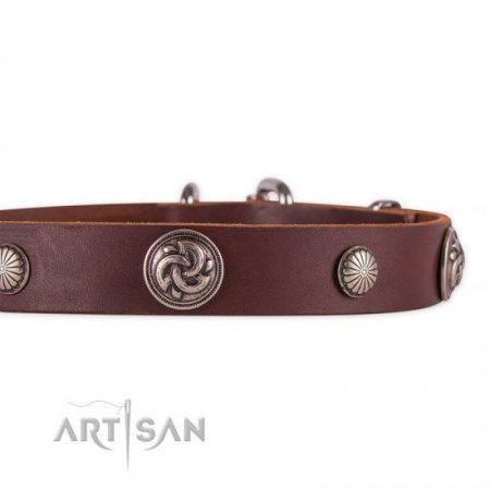 Fashionable Dark Brown Leather Dog Collar For Daily Walking