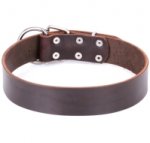 “Universal Use” Chocolate Brown Leather Dog Collar