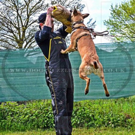 Easy Protection with Scratch Pants for Dog Training