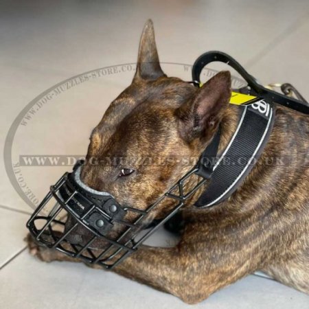 Best shop basket muzzle