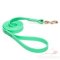 Neon Green Dog Leash 6 ft Strong Biothane