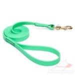 Neon Green Dog Leash 5 ft / 6 ft Strong Biothane