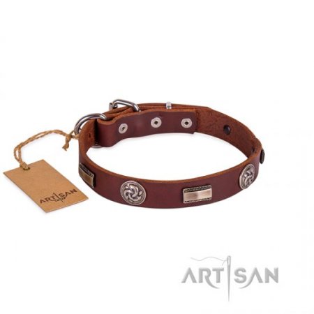 Functional Brown Studded Buckle Dog Collar FDT Artisan