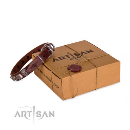 Luxury Brown Leather Dog Collar With Metal Buckle FDT Artisan