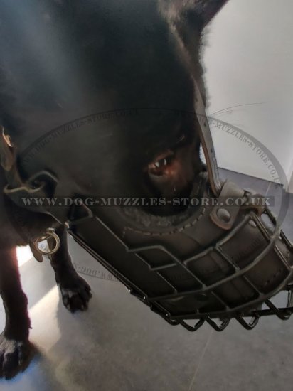 Police K9 Dog Muzzle for Service Dogs Leather Padded