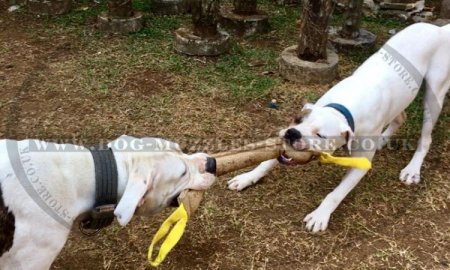 Dog Training Jute Tug with Handles for Biting and Prey Drive