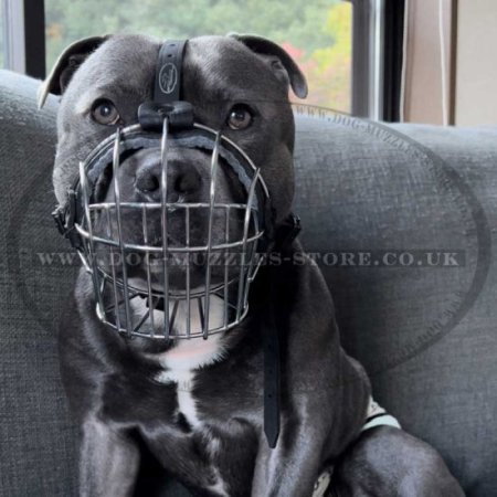 Staffie Muzzles Basket Form Soft Padded