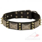 War Dog Collar with Luxury Decoration