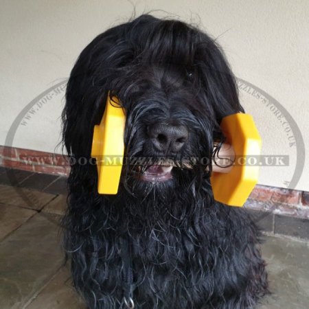 Yellow Dog Training Dumbbell for IGP
