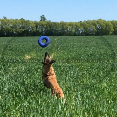 "Soft Bagel" Dog Training Bite Tug for Puppies