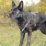 The Best Choice to Buy German Shepherd Harness for Dog Sport