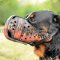 Rottweiler Dog Leather Muzzle with "Flame" Painting
