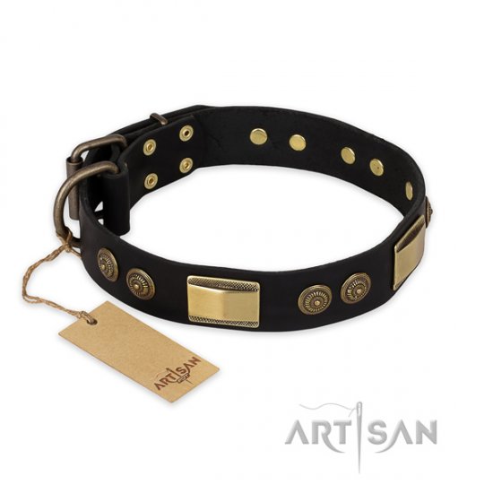 Best Leather Dog Collar with Studs FDT Artisan 'Ancient Egypt'