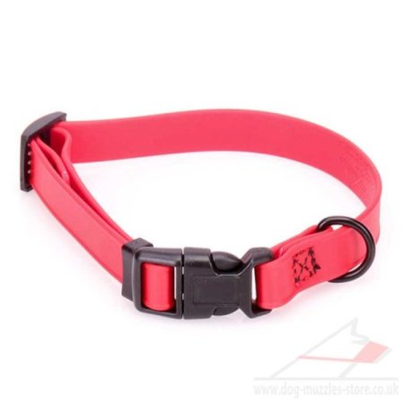 Durable Waterproof Dog Collar with Quick Release 0.6"