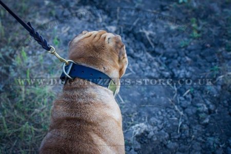 "Gorgeous" Tear-Proof Dog Collar For Shar Pei UK 1.6" (4 cm)