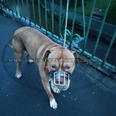 Wire Dog Muzzle for Pit Bull Terrier, Pitbull, XL Bully Breeds