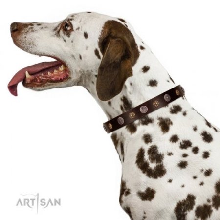 Adorned Brown Leather Dog Collar For Dogs 1 In Width