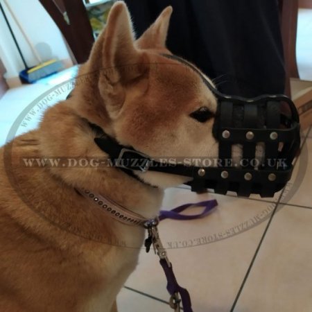 Akita Dog Muzzle for Siberian Husky and Alike Dogs 44.99