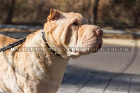 "Spiky Row" Spiked Leather Dog Collar For Shar Pei 0.7 In