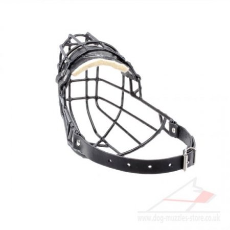 Best English Bull Terrier Basket Muzzle Black Rubber Covered