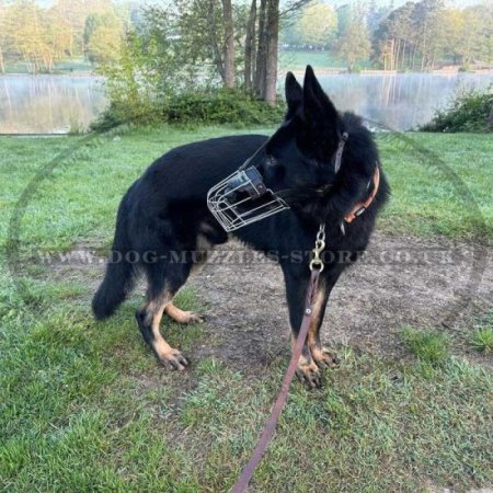 GSD Training Dog Muzzle Wire Basket