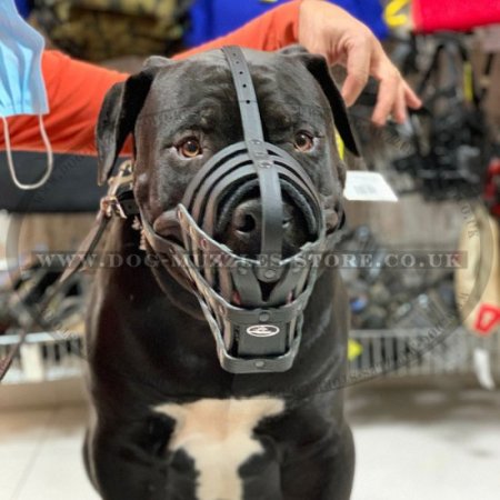 Cane Corso Muzzles for Large Dogs, Super Soft and Ventilated