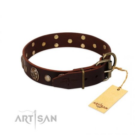 A Fancy Dark Brown Leather Dog Collar "Snazzy Paws" FDT Artisan