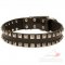 Dog Leather Collar with 2 Rows of Studs