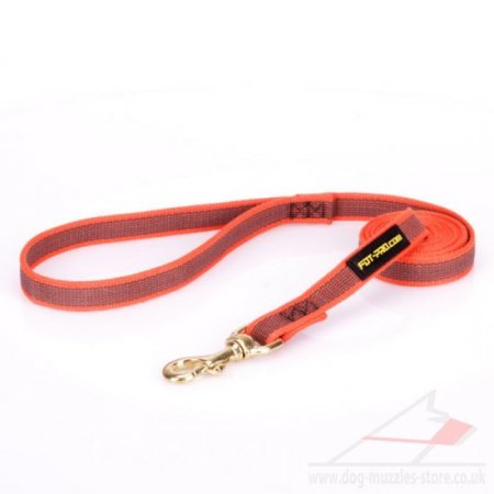 Tear-Proof Orange Dog Lead UK For Dog's Daily Activities