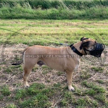 Soft Bullmastiff Muzzles UK Made of Leather