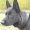 Super Strong Dog Collar for GSD, 2 Ply Leather