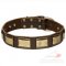 Leather Collar for Dogs with Brass Plates