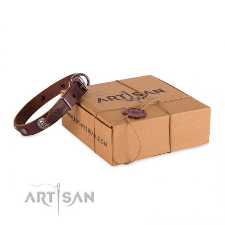 Fashionable Dark Brown Leather Dog Collar For Daily Walking