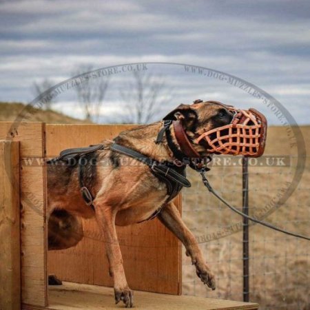 Ultimate Supreme Attack / Agitation Training Dog Muzzle