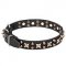 New Studded Dog Collar "Hollywood Star" 1 1/5 inch (30 mm)